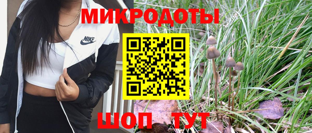 Псилоцибиновые грибы мухоморы Новошахтинск