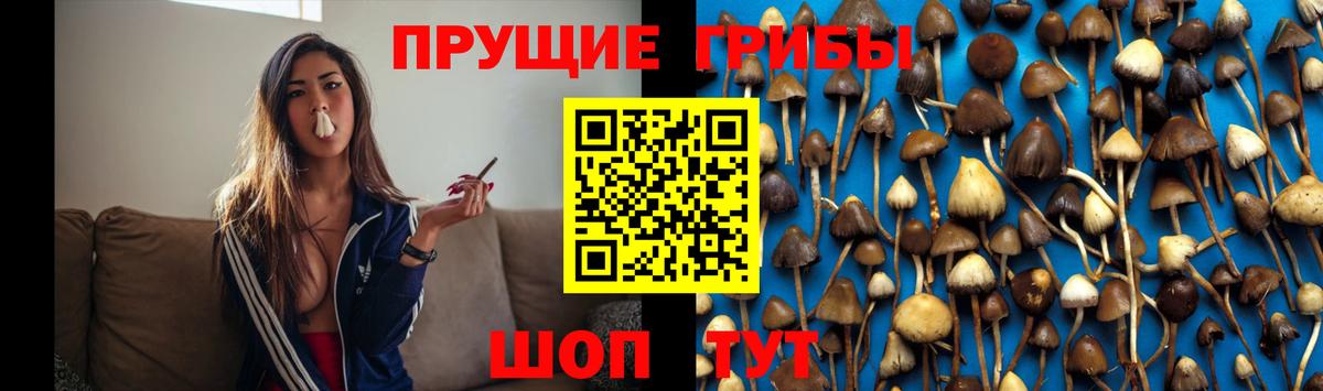 Псилоцибиновые грибы MAGIC MUSHROOMS  Псилоцибиновые грибы MAGIC MUSHROOMS  Новошахтинск  Вход с VPN 